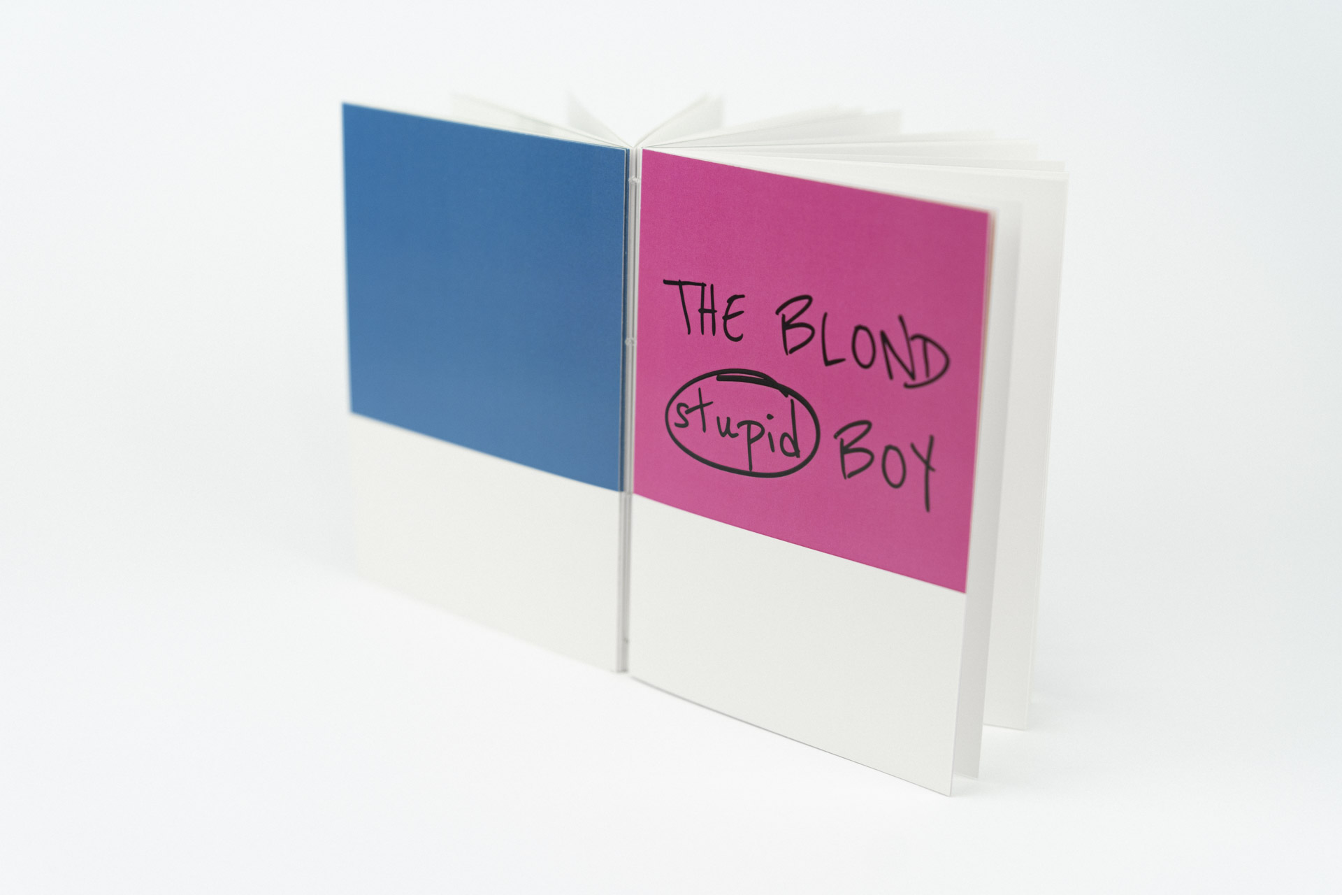Nahaufnahme eines aufgestellten Fotobuchs mit dem Titel The Blond Stupid Boy auf weißem Hintergrund